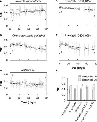 Antarctic benthic diatoms after 10 months of dark exposure: consequences for photosynthesis and cellular integrity